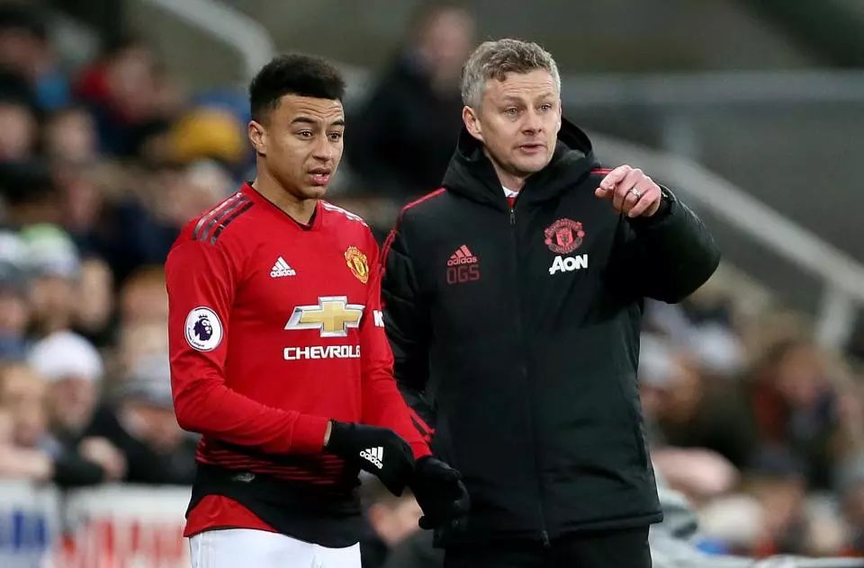 努力至上 努力至上